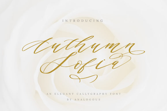 Authumn Sofia: A Handwritten Font for Modern Branding