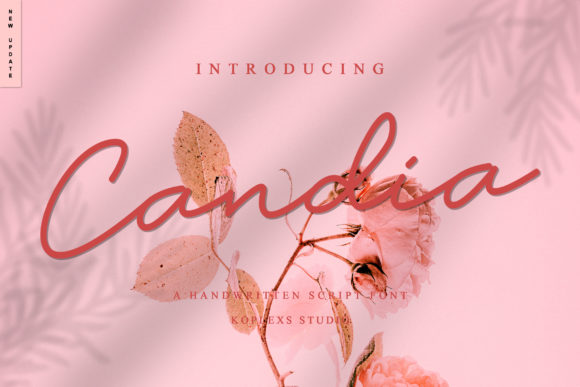 Candia Font: A Premium Typeface for Small Business Branding