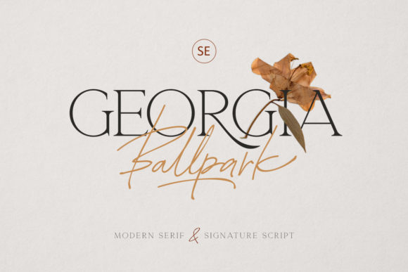 Georgia Ballpark: A Premium Font for Business Branding