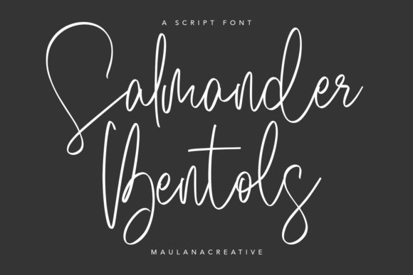 Salmander Bentols: A Handwritten Font for Web Design