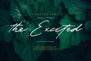The Excited: A Bold Display Font for Makers